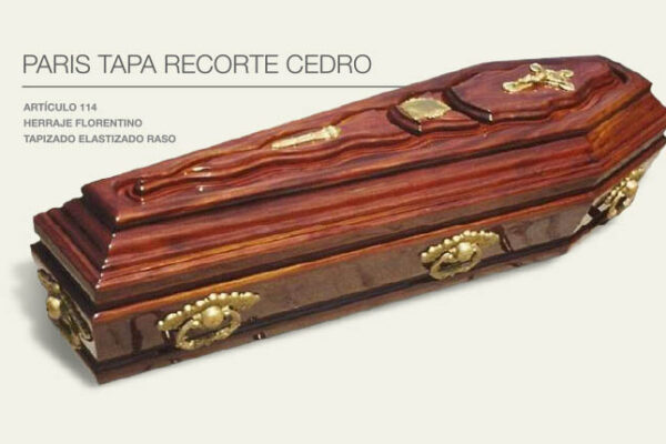 recorte_cedro